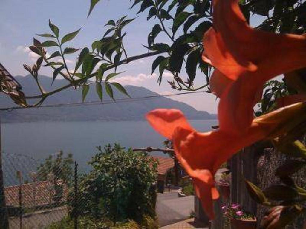 Home Sweet Home Lakeview Oggebio Kültér fotó